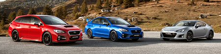 Silnik Subaru 2.5i 16V SOHC i-AVLS 165KM-173KM EJ253